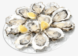 Food - Seafood - Plate Of Oysters Png #2645548