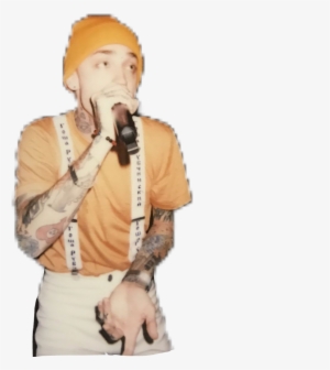 Blackbear Bear Matmusto Beartrap Doremi - Blackbear #2645626