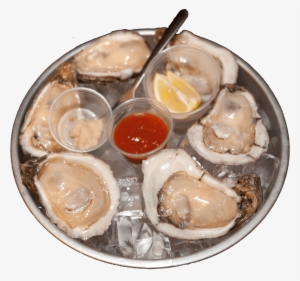 Oysters - Oyster Seafood #2645721