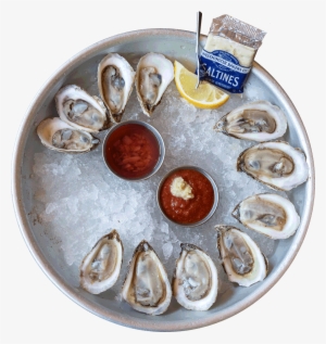 Fresh Oysters Daily - King Street Oyster Bar #2645987