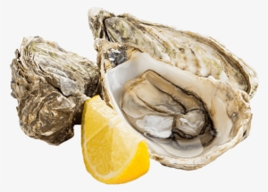 Bread, Butter, Bacon, Eggs, Sausage, Cereal And Jam) - Fresh Oysters Png #2646448