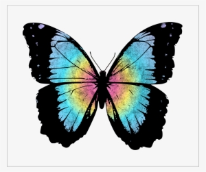 Creating A Custom Gradient In Gimp Does Not Need To - Morpho #2646493