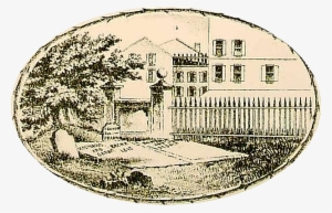 Chart Comparing Presidential Powers - Benjamin Franklin #2647292