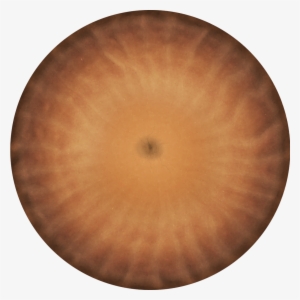 Crater - Transparent Crater #2648430