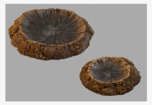 Transparent Crater #2648433