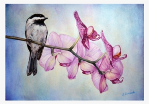 The Bird With Orchids - Northern Grey Shrike #2649078