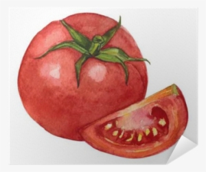 Tomate Gezeichnet #2649816
