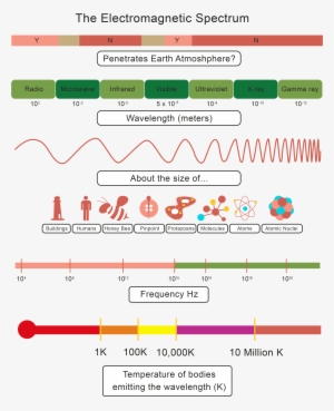 Worksheet Waves And Electromagnetic Spectrum Worksheet - Electromagnetic Spectrum Worksheet #2649854