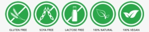 Our Product Promise - Vegan Gluten Free Icon Png #2649921