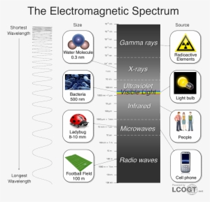 The Smallest Electromagnetic Waves, With Wavelengths - Electromagnetic Spectrum #2649995