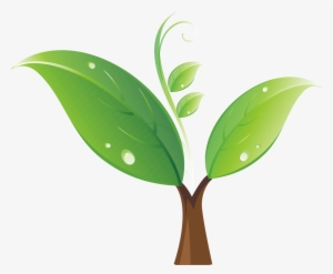 Seedling Tree Clip Art - Sprout Png #2650546