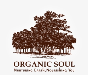 Organic Soul #2650941