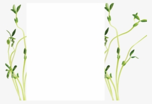Sprout-bg1 - Grass #2651076