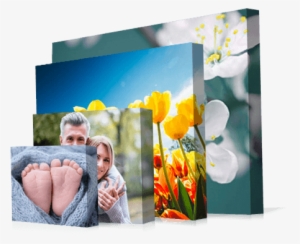 Instagram Canvas Prints - Canvas Prints Png #2651242