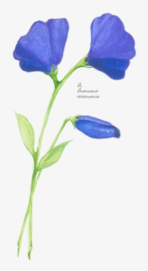 Flower Picture - Evolution Of Calpurnia Tate Movie #2651243