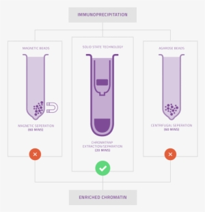 How Does Chromatrap Perform In The Laboratory - Diagram #2651523