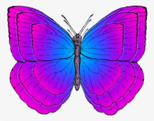 Cartoon Butterflies #2651768