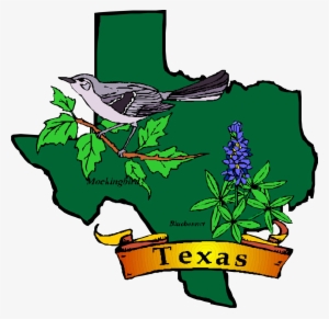 Texas Theme Day Camp, Shac Png Transparent - State Flower And Bird Of Texas #2652092