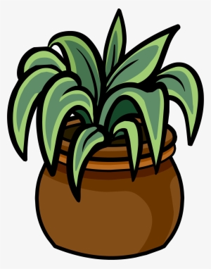 Evergreen Plant - Png - Club Penguin Plant #2652141
