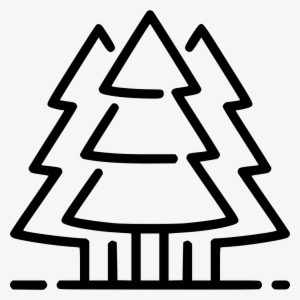 Evergreen Trees Comments - Christmas Day #2652202