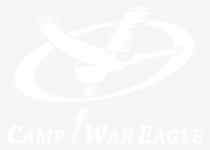 Home Home - Interview #2652613 Home Home - Interview #2652613