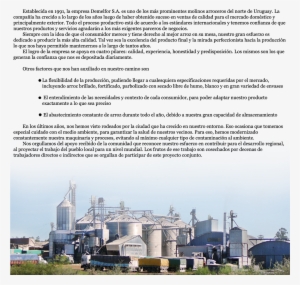 Quiénes Somos - - Silo #2654011