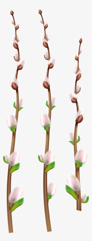 Portable Network Graphics #2654388