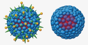 Second-generation Hepatitis B Vaccine - Hepatitis B Virus Png #2654579
