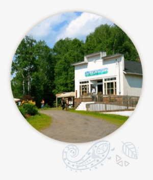 About Us - Willow Springs Cleaners #2654688