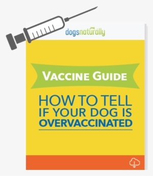 Controversial Free Report Reveals - Kennel Cough Vaccination #2654690
