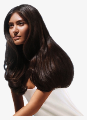 Service Hair Salon Aveda Hair Salon Png - Aveda Color #2655234