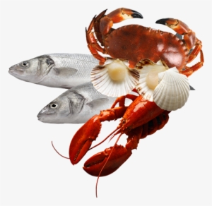 Seafood Png - Fish And Seafood Png #2655393