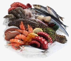 Sea Food Images Png #2655427