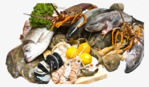 5 Fish Seafoods Skin1 - Sea Foods Png #2655519