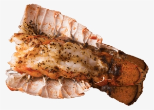 A Company With A - Lobster #2655755