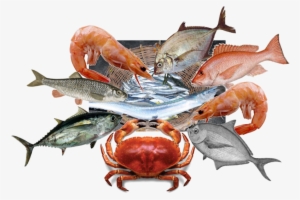 Chesapeake Blue Crab #2655993