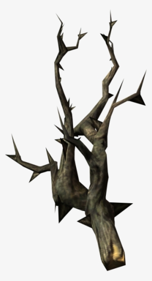 Canis Root - Skyrim Canis Root #2656233