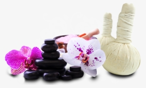 Thai Massage Png #2656271