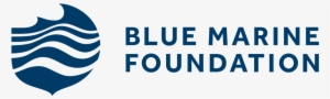 Blue Marine Foundation Colour - Football Federation Australia Logo #2656781