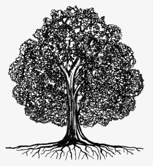 Media Library - Illustration #2656881 Media Library - Illustration #2656881