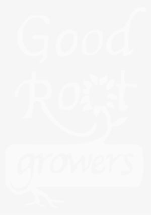 Calligraphy #2656908