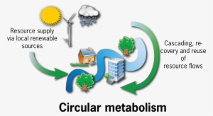 Circular Metabolism - Linear To Circular Urban Metabolism #2657136