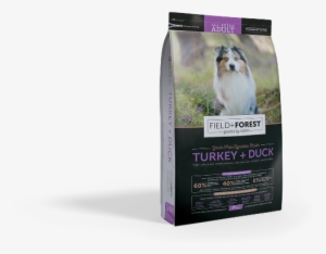 Field Forest #2657293