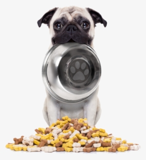 Largest Selection Of Pet Food - Bad To The Bone By Linda O Johnston #2657688