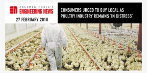 Consumers Urged To Buy Local As Poultry Industry Remains - Industrial Poultry Farming Nigeria #2658378