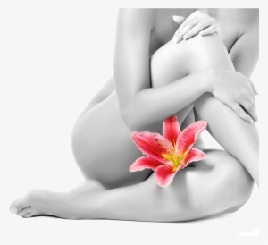 Brazilian Wax Santa Rosa Waxing - Body Waxing #2658516
