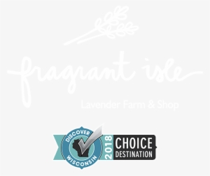 Follow Us On Instagram #2658779