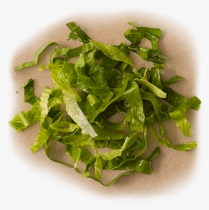 Romaine Lettuce - Romaine Lettuce Chipotle #2659707