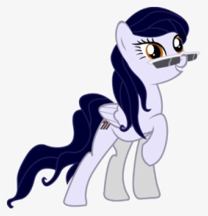 Raritydash Youtube #2663618