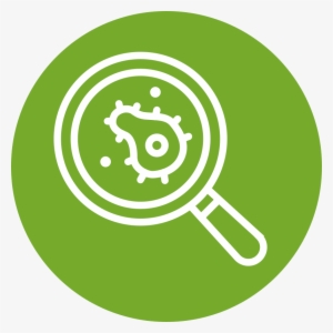 Send Toxic Backlinks To The Google Disavow Tool - Circle #2663680